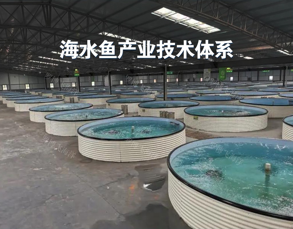 海水鱼产业技术体系