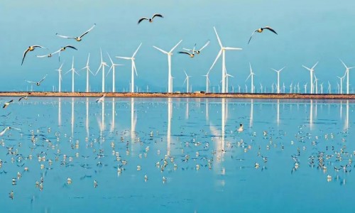 海上粮仓与蓝色能源丨探索海洋牧场+海上风电融合发展新模式