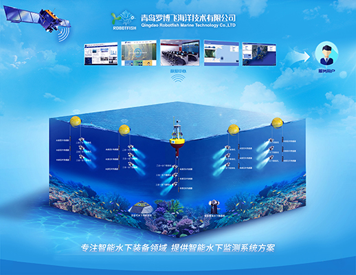 三亚西岛珊瑚礁调查与长效管控