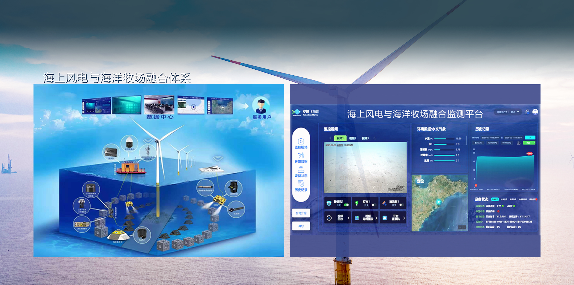 海上风电与海洋牧场融合体系