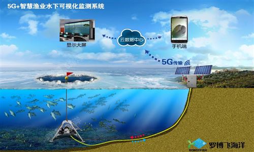 哈尔淖冬捕：千年雪中渔猎 万顷湖面腾鱼