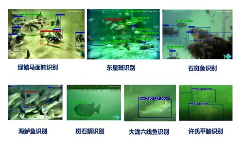 罗博飞海洋参与省重点研发计划项目综合绩效评价优秀