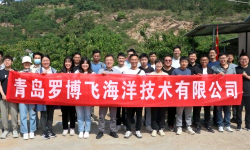 公司动态丨青岛罗博飞五月樱桃采摘团建活动如约而至