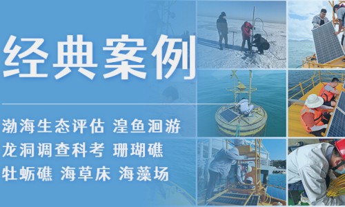 罗博飞·这十年丨经典案例回顾之智慧生态篇
