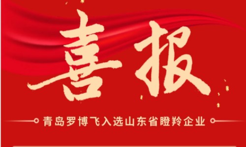喜报！罗博飞海洋入选2023年度山东省瞪羚企业名单