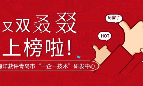 又双叒叕上榜啦丨罗博飞海洋获评青岛市“一企一技术”研发中心