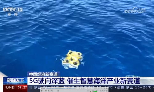 CCTV-13丨罗博飞又“出圈”了
