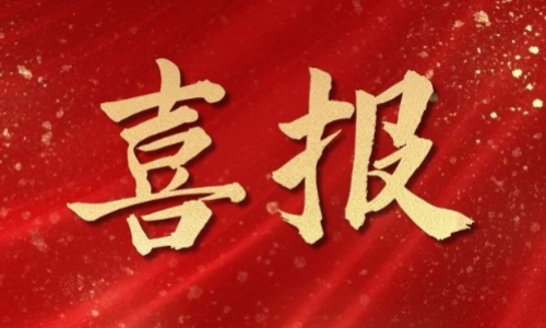 喜报丨热烈祝贺我司院士工作站2023年度考核再获优秀