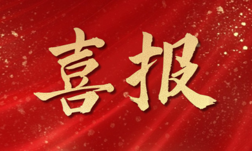 喜报频传丨罗博飞荣获多项荣誉