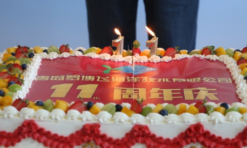 砥砺十一载 奋楫向未来丨庆祝罗博飞海洋成立11周年